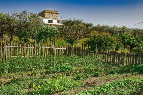 Paradiso Verde A Poca Distanza Dal Mare Vila Agropoli Exterior foto