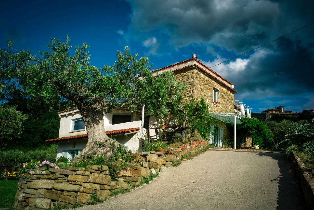 Paradiso Verde A Poca Distanza Dal Mare Vila Agropoli Exterior foto